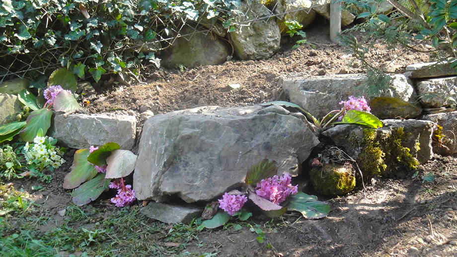 Graf Garten Gärtner für Ihren Garten